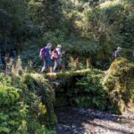 2024-10 - Népal - J05 - De Ghandruk à Tadapani - 131